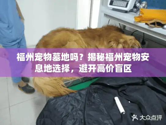 福州宠物墓地吗?揭秘福州宠物安息地选择,避开高价盲区 福州宠物墓地吗?揭秘福州宠物安息地选择,避开高价盲区