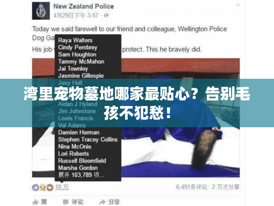 湾里宠物墓地哪家最贴心?告别毛孩不犯愁! 湾里宠物墓地哪家最贴心?告别毛孩不犯愁!