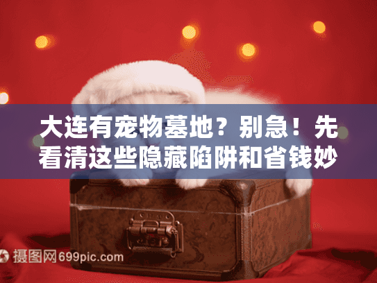 大连有宠物墓地？别急！先看清这些隐藏陷阱和省钱妙招（43字）