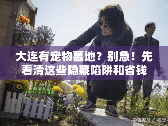 大连有宠物墓地？别急！先看清这些隐藏陷阱和省钱妙招（43字）