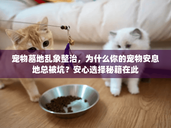 宠物墓地乱象整治，为什么你的宠物安息地总被坑？安心选择秘籍在此