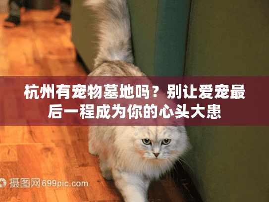 杭州有宠物墓地吗?别让爱宠最后一程成为你的心头大患 杭州有宠物墓地吗?别让爱宠最后一程成为你的心头大患