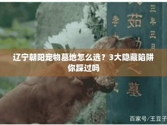 辽宁朝阳宠物墓地怎么选？3大隐藏陷阱你踩过吗