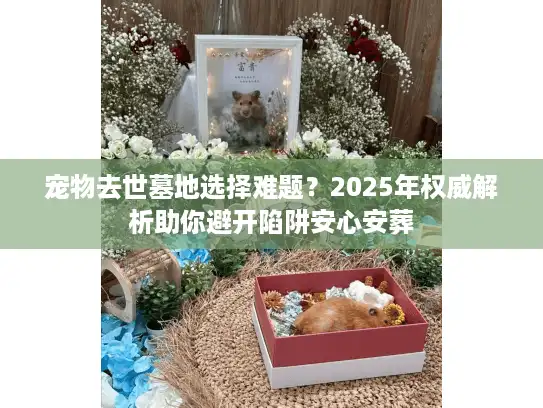 宠物去世墓地选择难题？2025年权威解析助你避开陷阱安心安葬