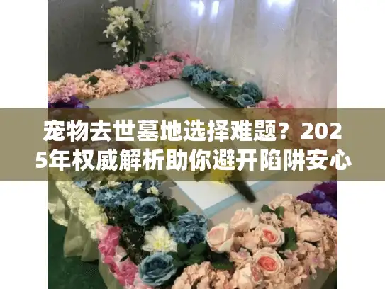 宠物去世墓地选择难题？2025年权威解析助你避开陷阱安心安葬