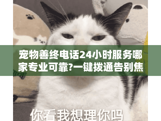 宠物善终电话24小时服务哪家专业可靠?一键拨通告别焦虑