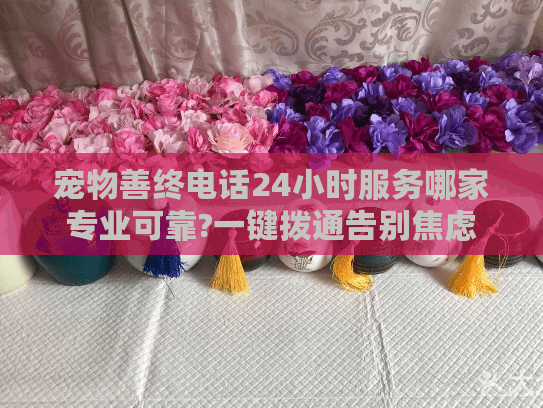 宠物善终电话24小时服务哪家专业可靠?一键拨通告别焦虑