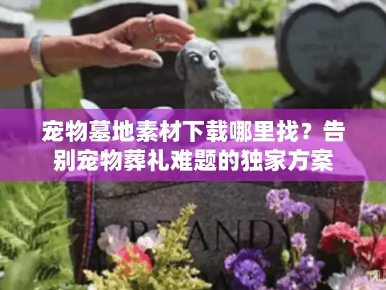 宠物墓地素材下载哪里找？告别宠物葬礼难题的独家方案