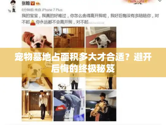 宠物墓地占面积多大才合适?避开后悔的终极秘笈 宠物墓地占面积多大才合适?避开后悔的终极秘笈