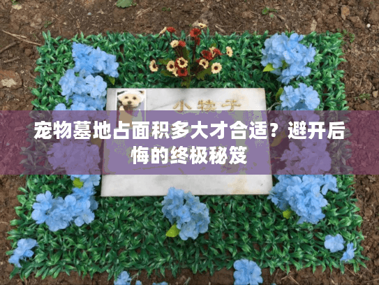 宠物墓地占面积多大才合适?避开后悔的终极秘笈 宠物墓地占面积多大才合适?避开后悔的终极秘笈