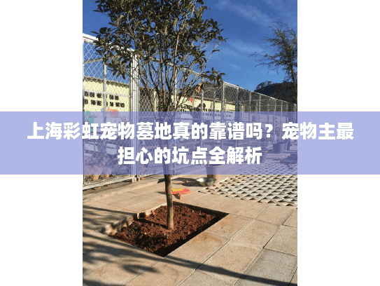 上海彩虹宠物墓地真的靠谱吗？宠物主最担心的坑点全解析