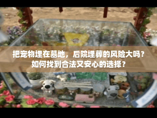 把宠物埋在墓地，后院埋葬的风险大吗？如何找到合法又安心的选择？