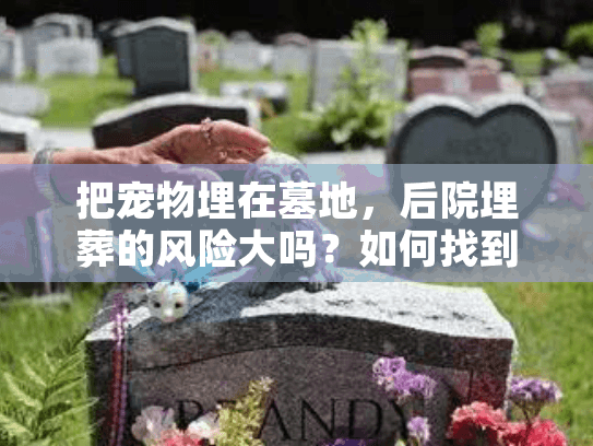把宠物埋在墓地，后院埋葬的风险大吗？如何找到合法又安心的选择？