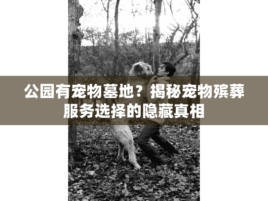 公园有宠物墓地？揭秘宠物殡葬服务选择的隐藏真相