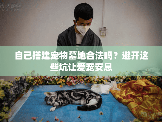 自己搭建宠物墓地合法吗？避开这些坑让爱宠安息