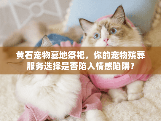 黄石宠物墓地祭祀，你的宠物殡葬服务选择是否陷入情感陷阱？
