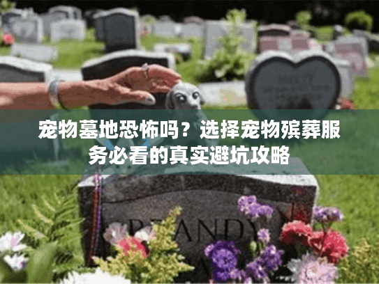 宠物墓地恐怖吗？选择宠物殡葬服务必看的真实避坑攻略
