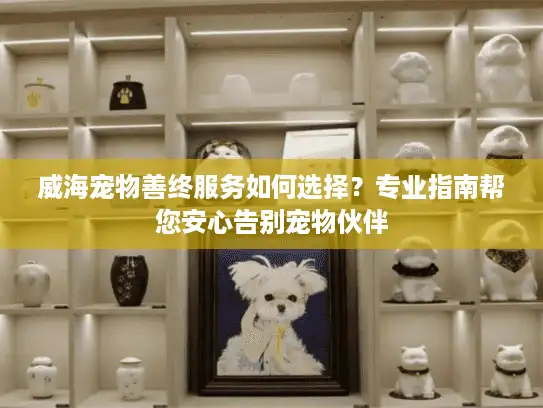 威海宠物善终服务如何选择？专业指南帮您安心告别宠物伙伴