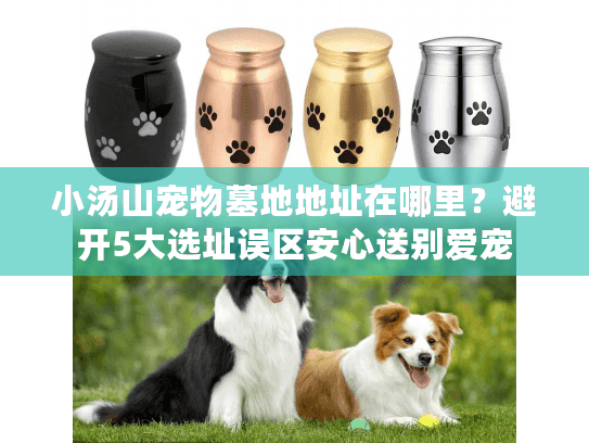 小汤山宠物墓地地址在哪里？避开5大选址误区安心送别爱宠