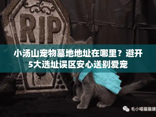 小汤山宠物墓地地址在哪里？避开5大选址误区安心送别爱宠