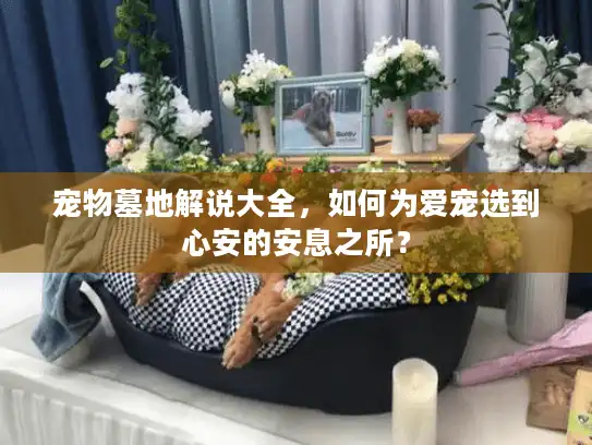 宠物墓地解说大全，如何为爱宠选到心安的安息之所？