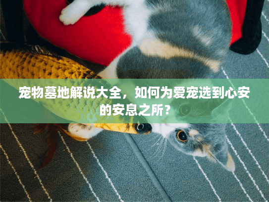 宠物墓地解说大全，如何为爱宠选到心安的安息之所？