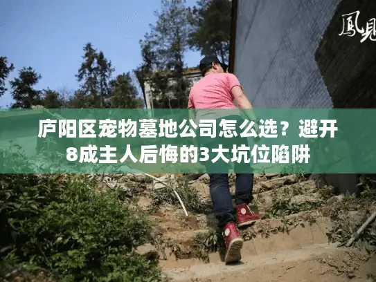 庐阳区宠物墓地公司怎么选？避开8成主人后悔的3大坑位陷阱