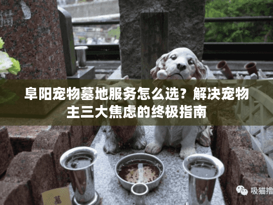 阜阳宠物墓地服务怎么选?解决宠物主三大焦虑的终极指南 阜阳宠物墓地服务怎么选?解决宠物主三大焦虑的终极指南