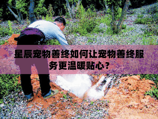 星辰宠物善终如何让宠物善终服务更温暖贴心？