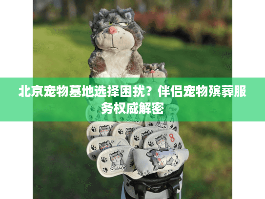 北京宠物墓地选择困扰?伴侣宠物殡葬服务权威解密 北京宠物墓地选择困扰?伴侣宠物殡葬服务权威解密