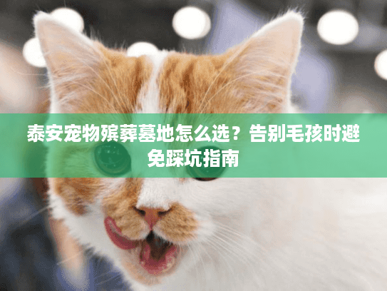 泰安宠物殡葬墓地怎么选？告别毛孩时避免踩坑指南