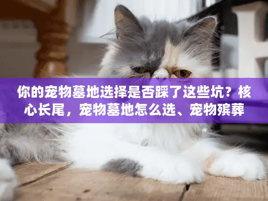 你的宠物墓地选择是否踩了这些坑？核心长尾，宠物墓地怎么选、宠物殡葬服务比较）