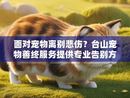 面对宠物离别悲伤?台山宠物善终服务提供专业告别方案 面对宠物离别悲伤?台山宠物善终服务提供专业告别方案