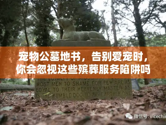 宠物公墓地书，告别爱宠时，你会忽视这些殡葬服务陷阱吗？