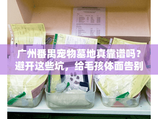广州番禺宠物墓地真靠谱吗?避开这些坑,给毛孩体面告别 广州番禺宠物墓地真靠谱吗?避开这些坑,给毛孩体面告别