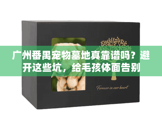 广州番禺宠物墓地真靠谱吗?避开这些坑,给毛孩体面告别 广州番禺宠物墓地真靠谱吗?避开这些坑,给毛孩体面告别