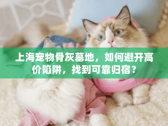 上海宠物骨灰墓地，如何避开高价陷阱，找到可靠归宿？