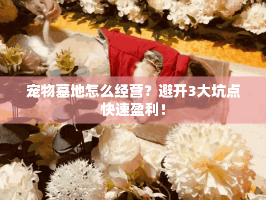 宠物墓地怎么经营？避开3大坑点快速盈利！