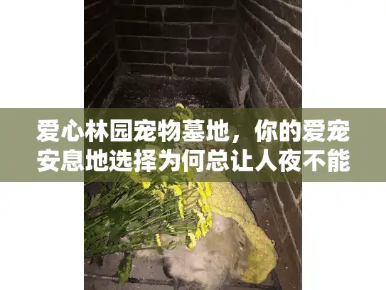 爱心林园宠物墓地，你的爱宠安息地选择为何总让人夜不能寐？