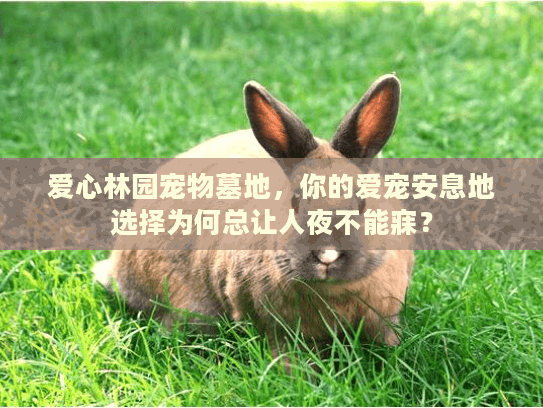 爱心林园宠物墓地，你的爱宠安息地选择为何总让人夜不能寐？