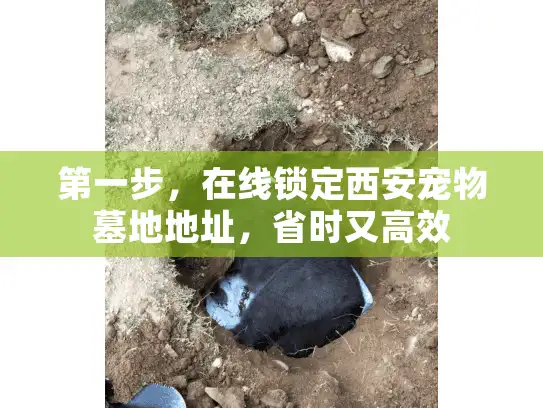 第一步，在线锁定西安宠物墓地地址，省时又高效
