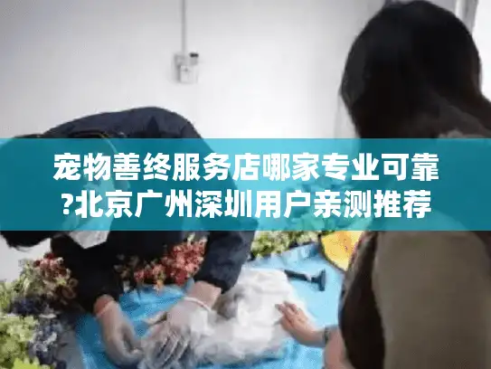 宠物善终服务店哪家专业可靠?北京广州深圳用户亲测推荐