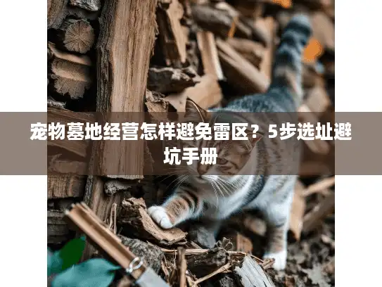 宠物墓地经营怎样避免雷区？5步选址避坑手册