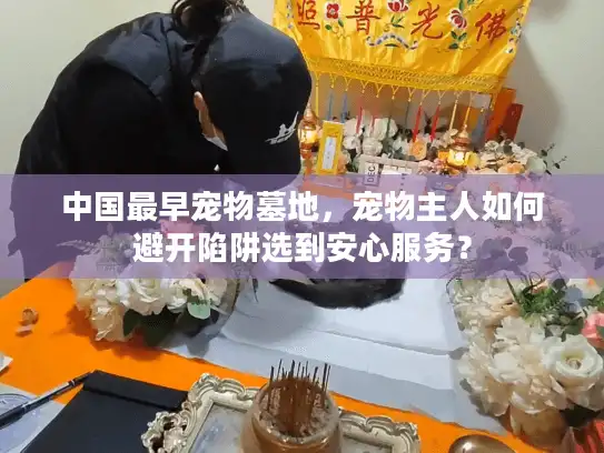 中国最早宠物墓地，宠物主人如何避开陷阱选到安心服务？