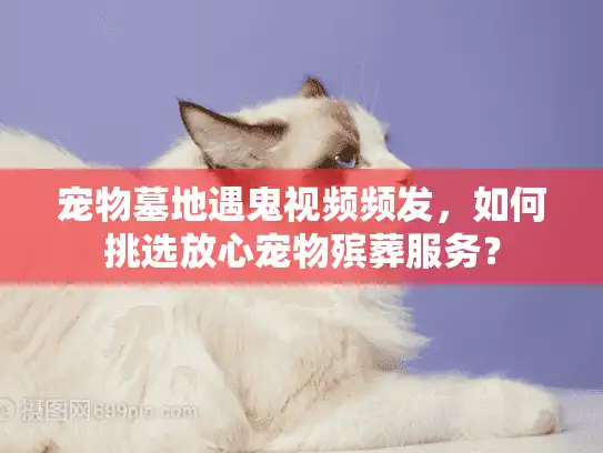宠物墓地遇鬼视频频发,如何挑选放心宠物殡葬服务? 宠物墓地遇鬼视频频发,如何挑选放心宠物殡葬服务?