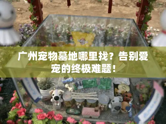 广州宠物墓地哪里找?告别爱宠的终极难题! 广州宠物墓地哪里找?告别爱宠的终极难题!