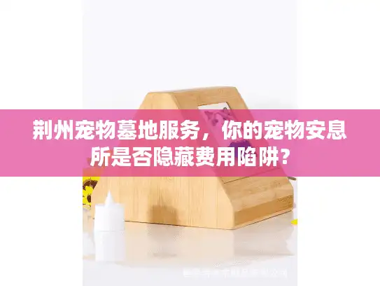 荆州宠物墓地服务，你的宠物安息所是否隐藏费用陷阱？
