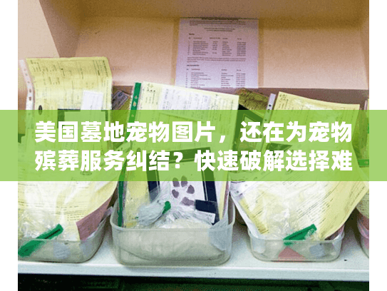 美国墓地宠物图片，还在为宠物殡葬服务纠结？快速破解选择难题