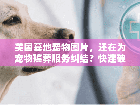 美国墓地宠物图片，还在为宠物殡葬服务纠结？快速破解选择难题