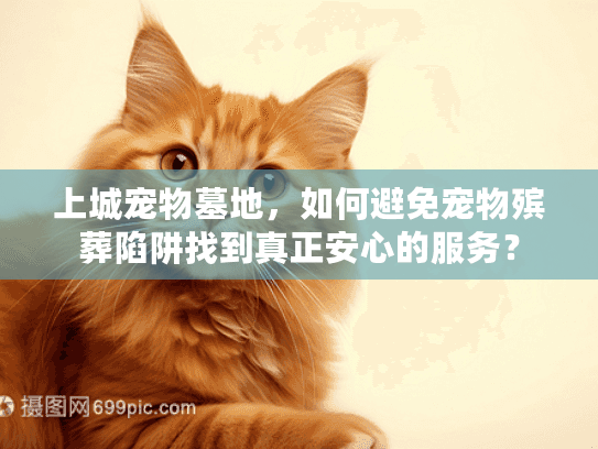 上城宠物墓地，如何避免宠物殡葬陷阱找到真正安心的服务？